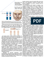 Genetica Resumo Prova 2