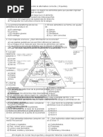 Prueba Sistema Digestivo y Nutricion