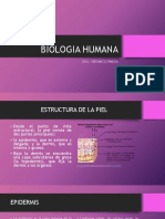 BIOLOGIA HUMANA 2019.pptx