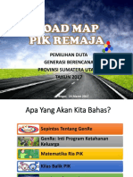 ROAD MAP PIK REMAJA 2017 Fix