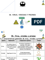 T-06-Virus-181.pdf