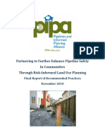 PIPA Report Final 20101117