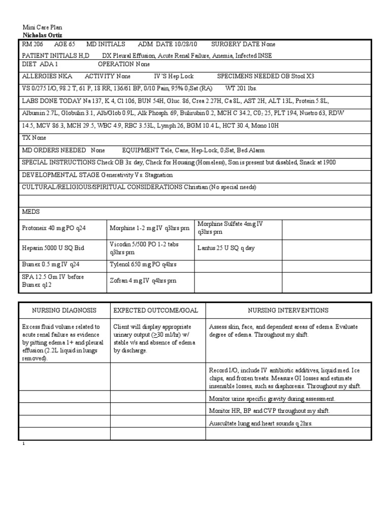 Mini Care Plan for Acute Renal Failure | PDF | Medical Specialties ...