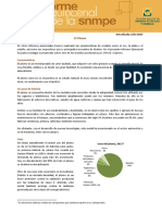 snmpe-Informe-Quincenal-Mineria-El-plomo.pdf