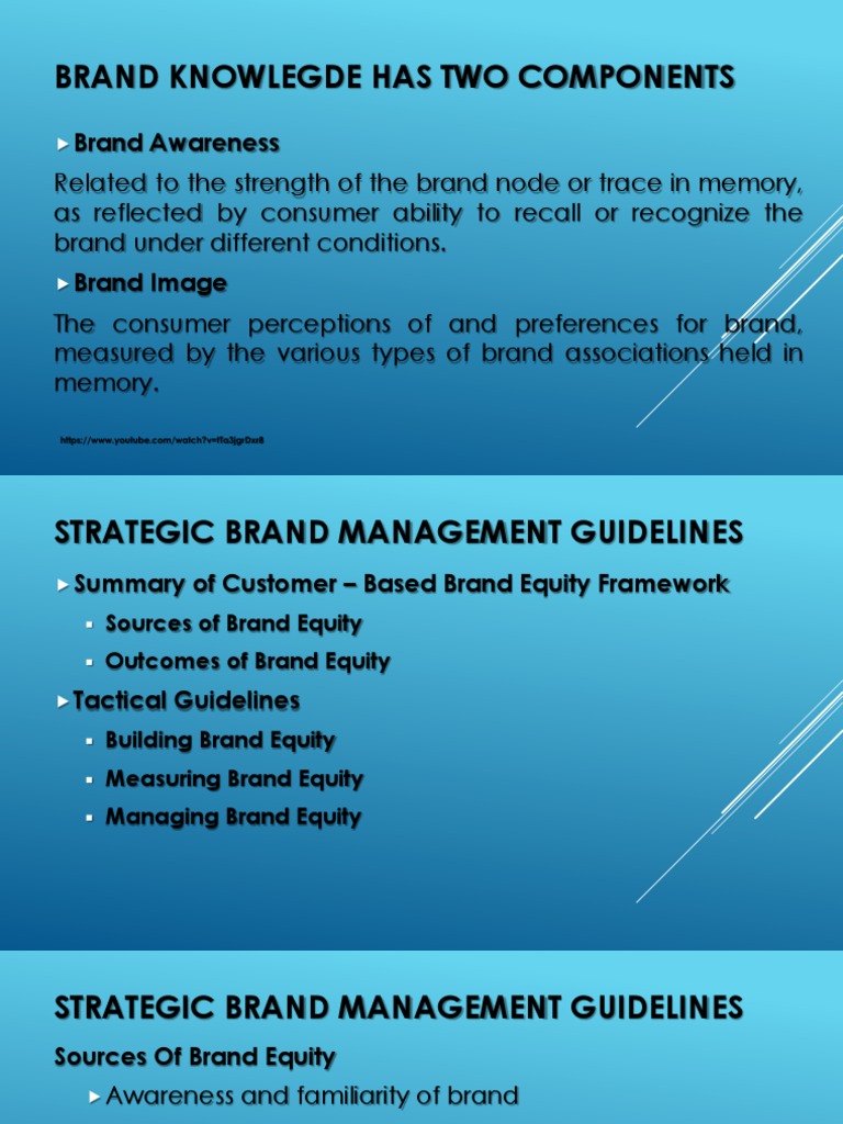 Brand Equity Management Strategies | PDF | Brand | Marketing Communications