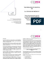 Guias Preparacion Examen Simulacion 1er Sem BADI PDF