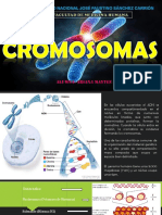 CROMOSOMAS EXPO PDF 