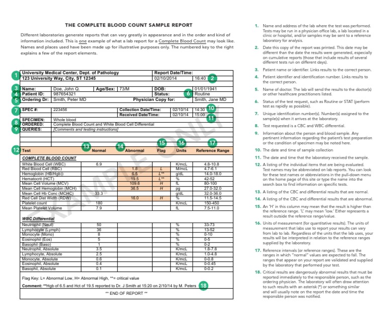 Complete Blood Count Sample Report | PDF | Tissue (Biology) | Clinical ...