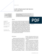 Neurodevelopmental Risk Factors in Schizophrenia