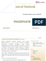 OGA_Chemical Series_Phosphate Market Outlook 2019-2025