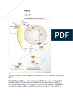 RNA Interference: Navigation Search