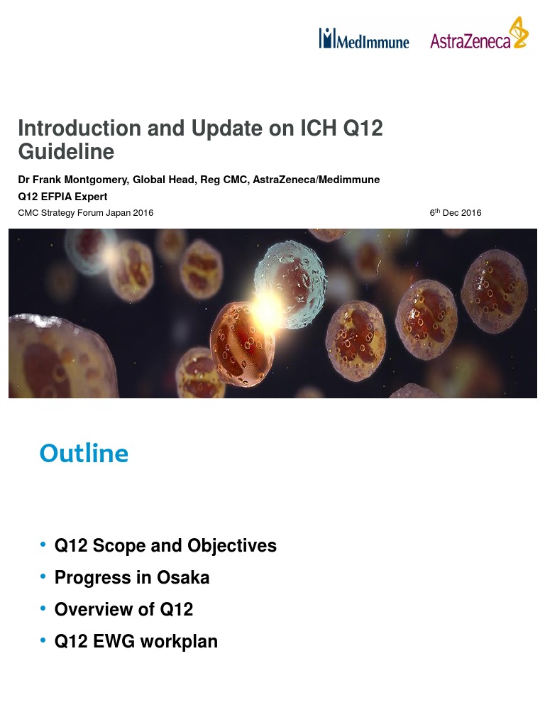 Overview of ICH Q12 Guidelines | PDF | Specification (Technical ...