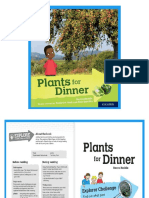 Plants for Dinner-Lvl 4