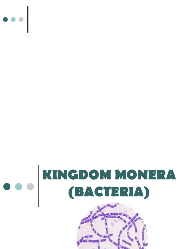 Kingdom Monera | PDF | Archaea | Bacteria