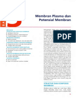 Membran Plasma Dan Potensial Membran