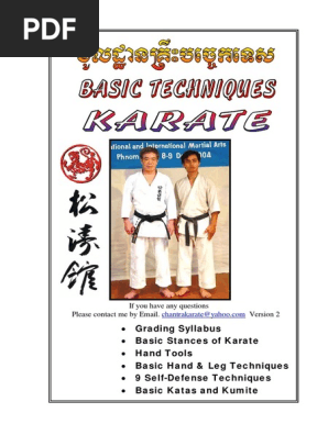 Basic Techniques Karate Pdf Combat East Asian Martial Arts