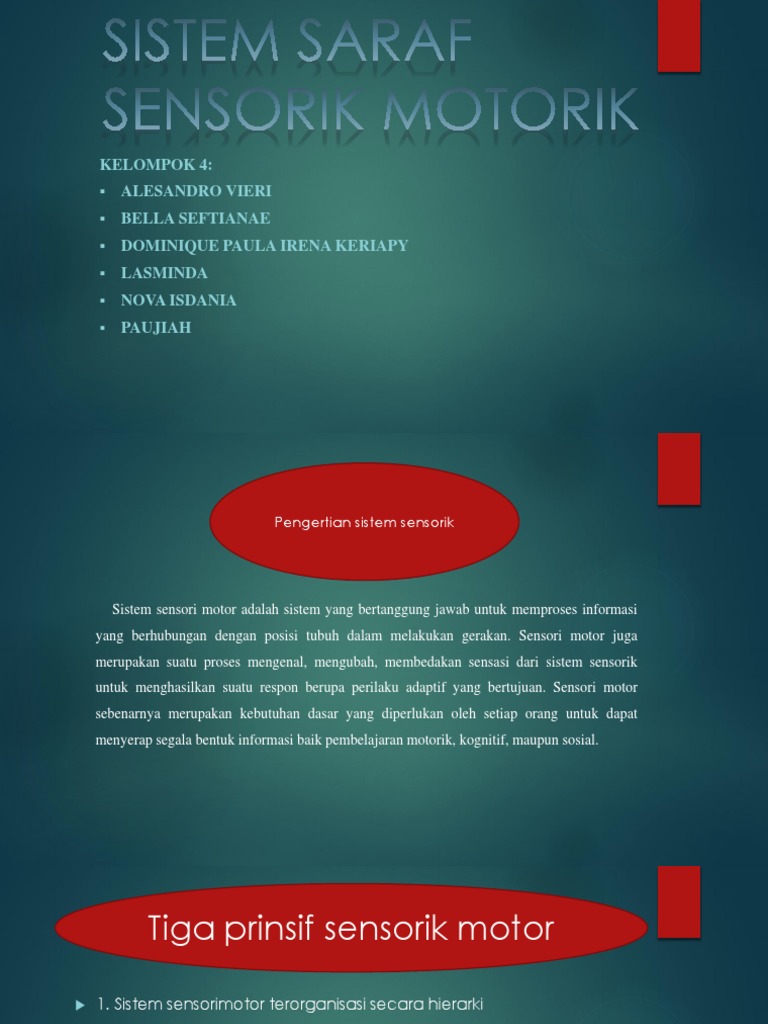 Sistem Saraf Sensorik Motorik | PDF