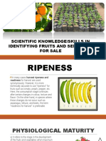 Knowledge/skills in Identifying Fruits/seedlings For Sale
