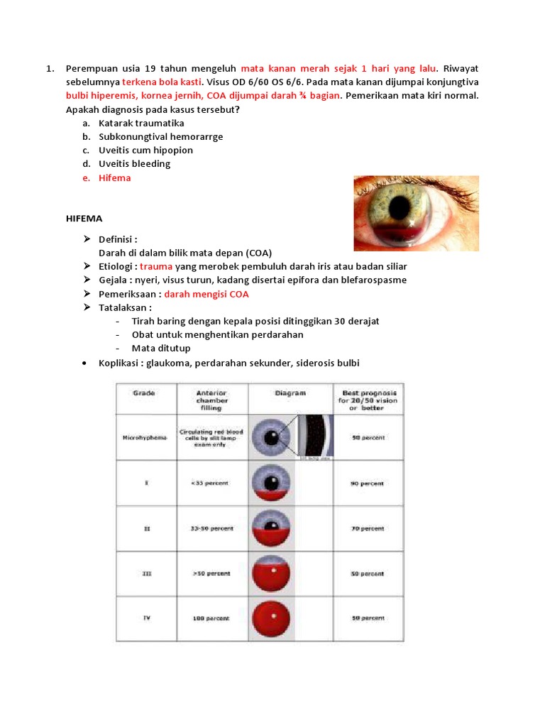 Matoo | PDF