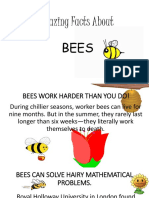 Facts About Bees