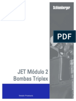 Bombas Triplex.pdf
