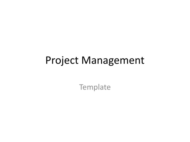 Project Management: Template | PDF
