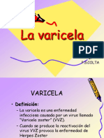 varicela (1)