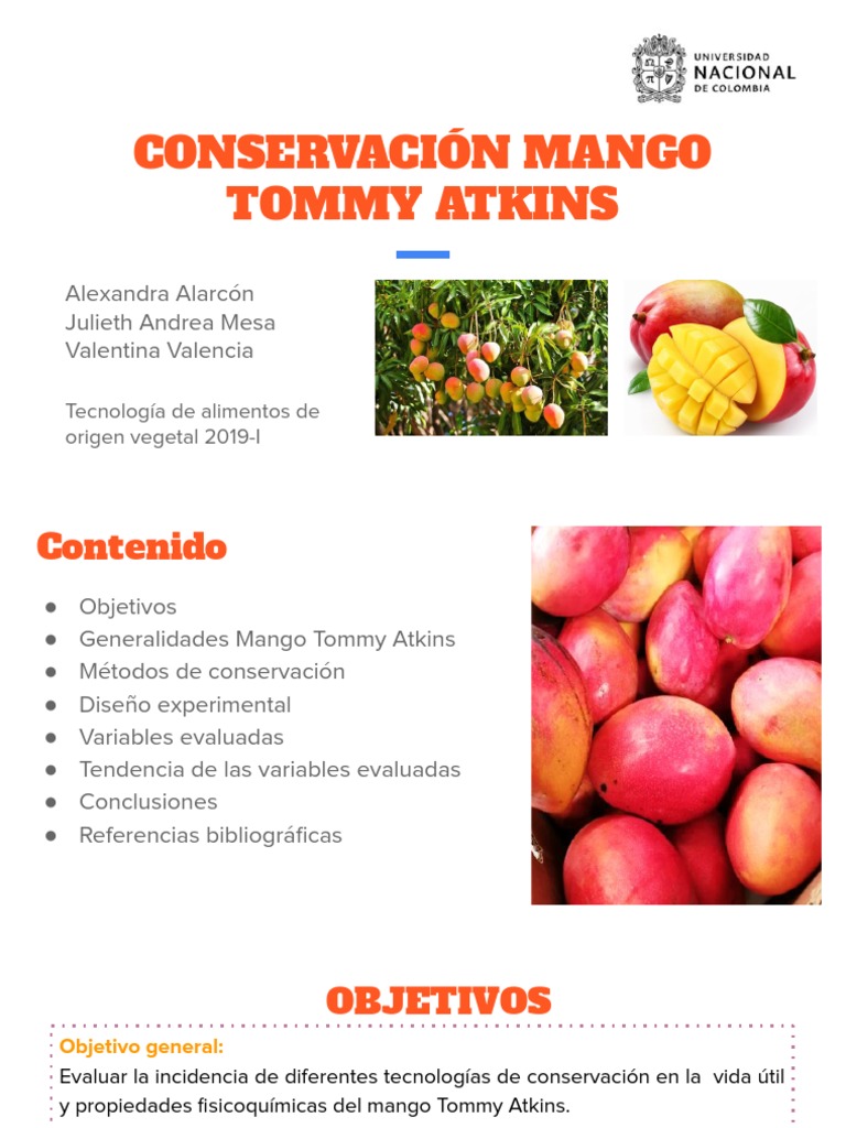 Conservación Mango Tommy Atkins. PDF Mango Fruta