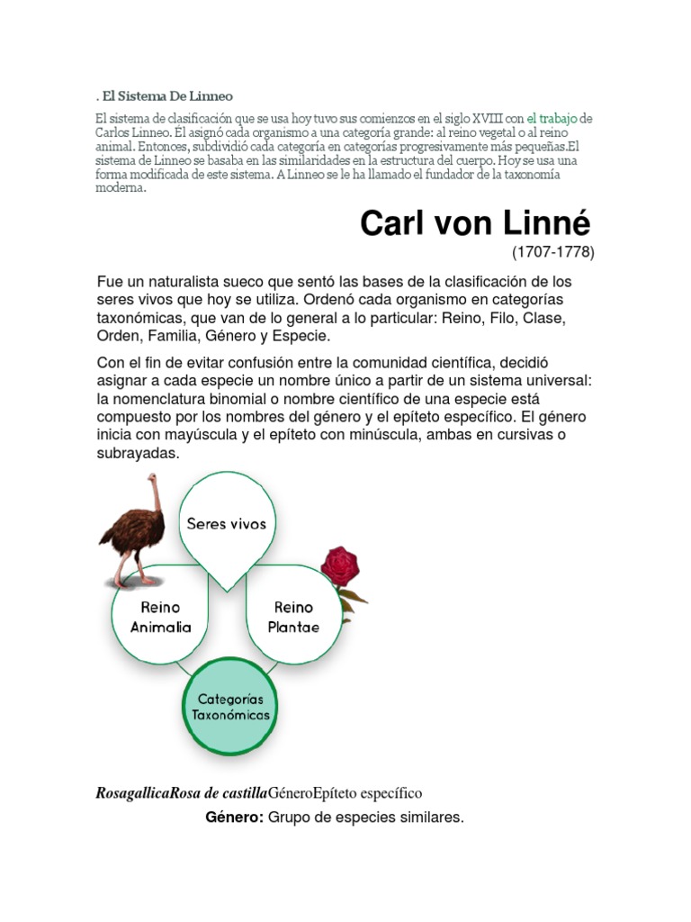 El Sistema de Linneo | PDF | Taxonomía (biología) | Especies