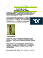 Parásitos Fasciolopsi.pdf