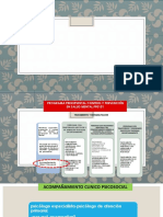 Expoacompañamiento Clinico Psicosocial 6.6.19