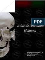 Atlas de Anatomia Humana PDF