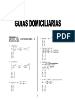 GUIA DOMICILIARIA ALGEBRA.pdf