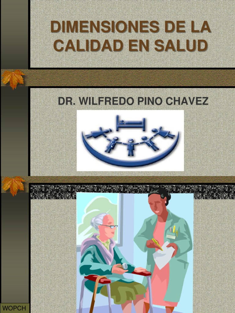 Dimensiones de La Calidad en Salud PDF | PDF | Calidad (comercial ...