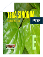 Teka Sinonim e PDF