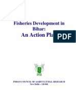 Fisheries Development in Bihar:: An Action Plan