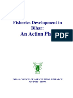 Fisheries Development in Bihar: Action Plan for Ponds and Mauns