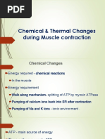 Chemical and Thermal Changes During Muscle Contraction