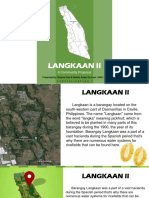 Langkaan II Community Profiling.pptx