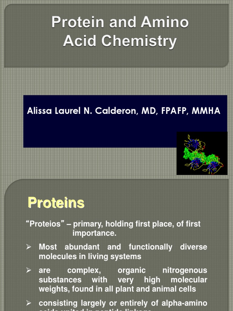 Understanding Proteins and Amino Acids | PDF | Beta Sheet | Protein ...