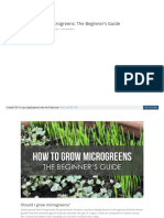 Aprendendo a cultivar microgreens
