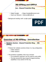 Overview of Ms-Spring and GMPLS: Multiplex Section - Shared Protection Ring