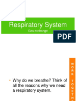 Respiratory System: Gas Exchange