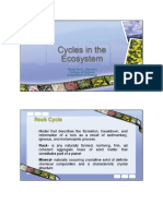Cycles in the Ecosystem 