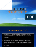 4 Leukosit