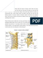 135791449-Anatomi-Vertebra.docx