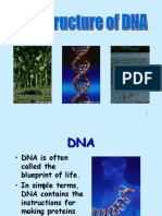 Dna