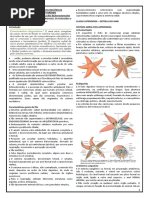Resumo Aula 1 - Caracter°sticas dos Echinodermata. Os Asteroidea e Ophiuroidea-2