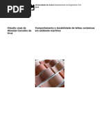 Comportamento e Durabilidade Em Ambiente Marítimo