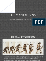 Human Origins Report